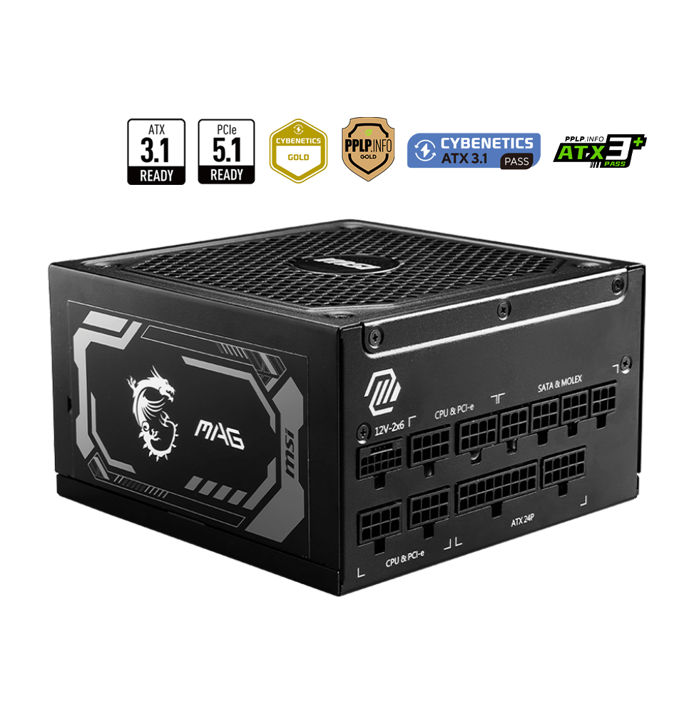 Bloc alimentation MSI MAG A1250GL PCIE5 (306-7ZP9A11-CE0)
