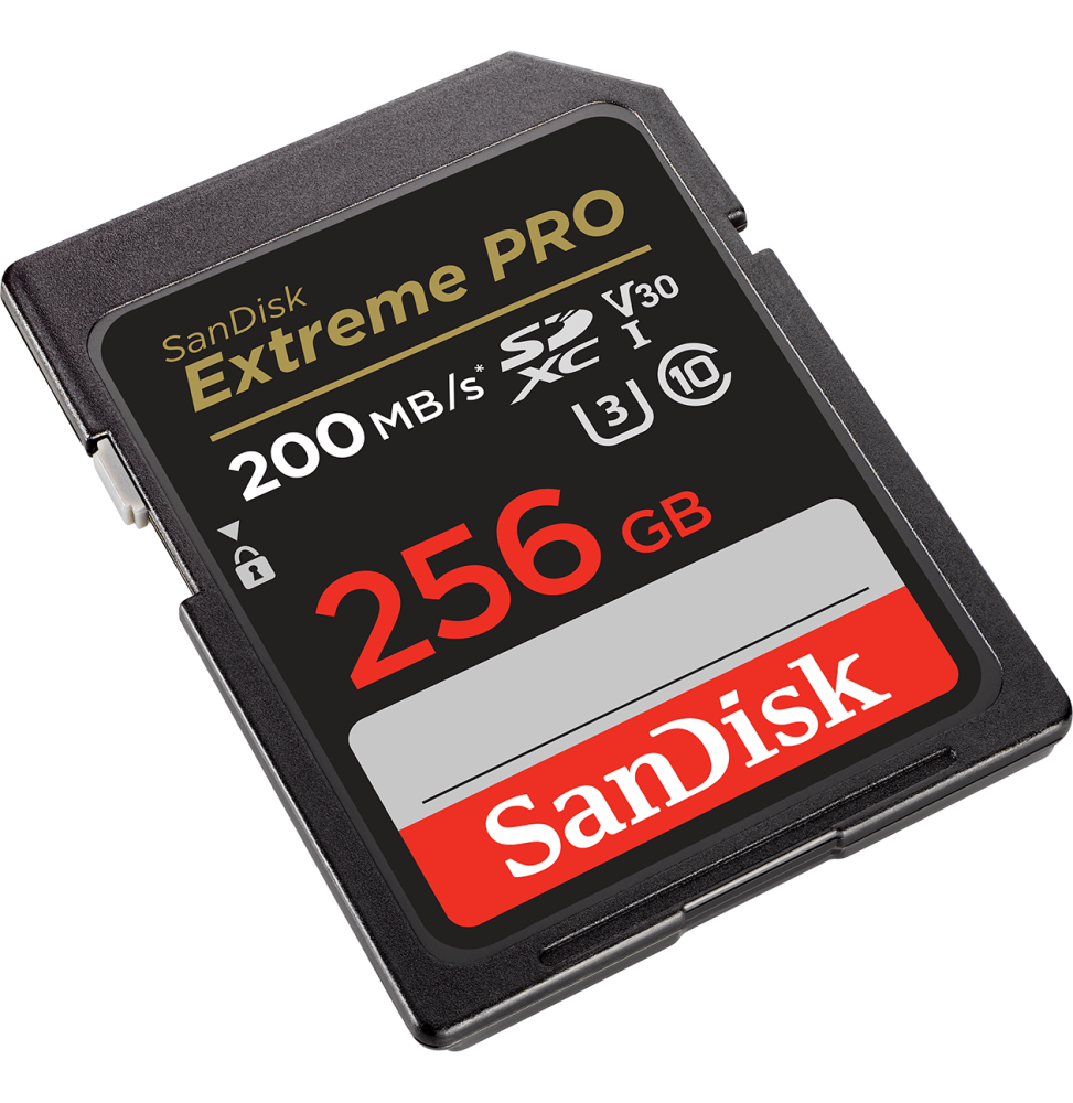Carte mémoire SDXC™ UHS-I SanDisk Extreme PRO 256 Go (SDSDXXD-256G-GN4IN) – Image 2