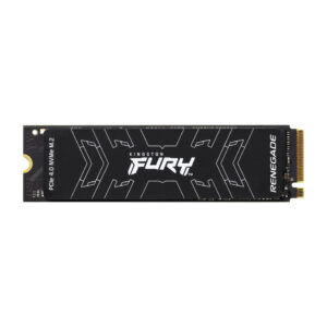 Kingston Technology 500G FURY RENEGADE M.2 2280 NVMe SSD 500G FURY RENEGADE M.2 2280 NVMe SSD (SFYRS/500G)