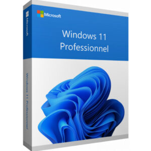 Microsoft Windows 11 Professionnel 64 bits Anglais (Licence originale + DVD) (FQC-10528)
