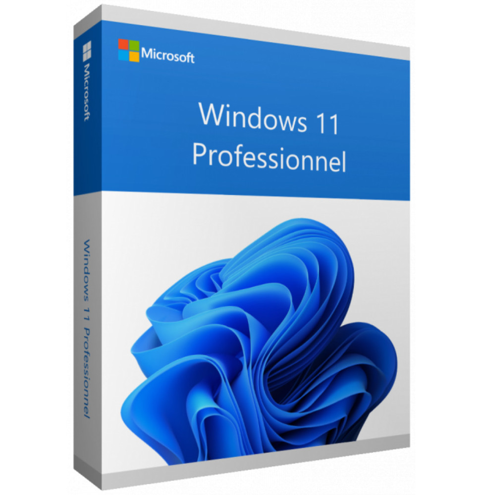 Microsoft Windows 11 Professionnel 64 bits Anglais (Licence originale + DVD) (FQC-10528)