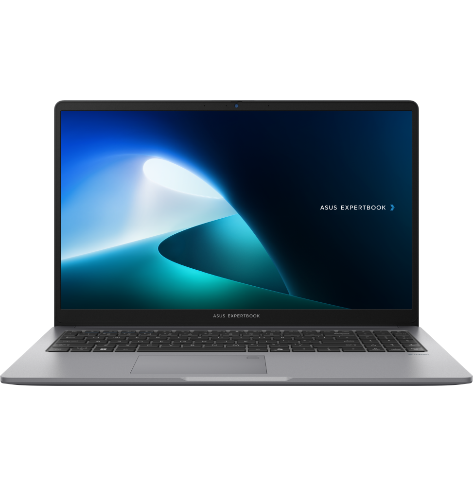Ordinateur portable Asus ExpertBook P1 (P1503CVA-NJ0991)