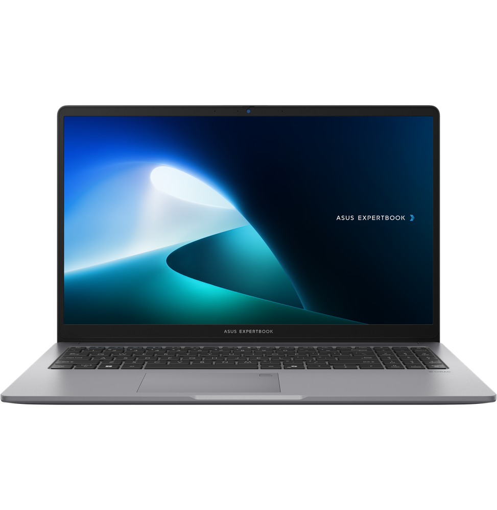 Ordinateur portable Asus ExpertBook P1 (P1503CVA-S71473)
