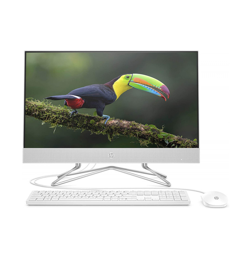 Ordinateur tout-en-un HP 200 G4 22 (9US61EA)