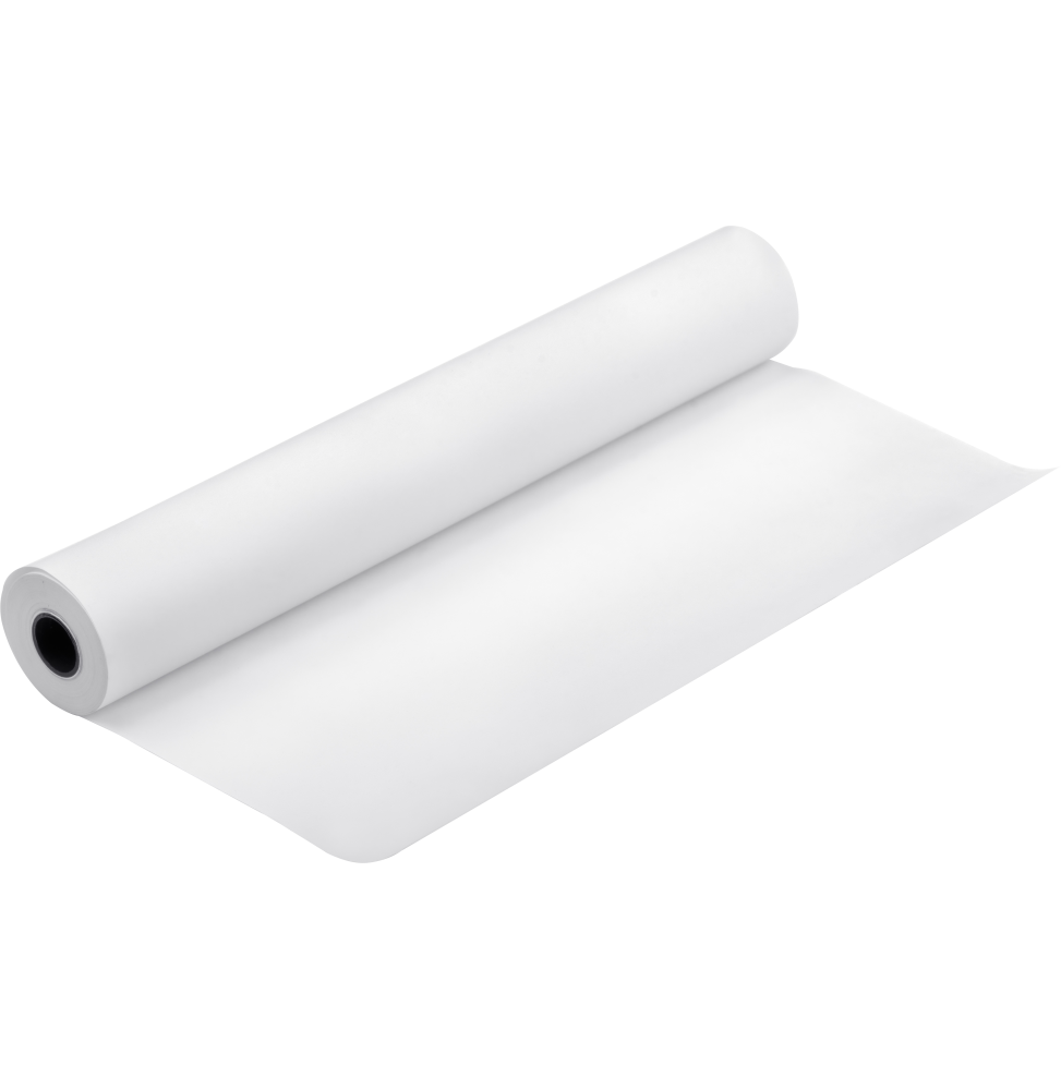 Papier d'épreuvage semi-mat Epson Proofing Paper Blanc Semimatte 256g 24" (0,610x30,5m) (C13S042004)