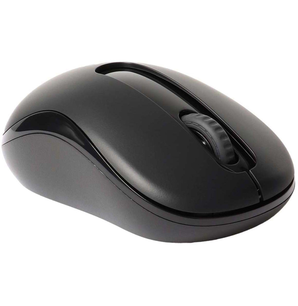 Souris sans fil Rapoo M10+ (M10PLUS)