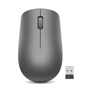 Souris sans fil USB Lenovo 530 - Graphite (GY50Z49089)