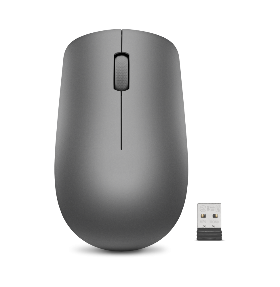 Souris sans fil USB Lenovo 530 - Graphite (GY50Z49089)