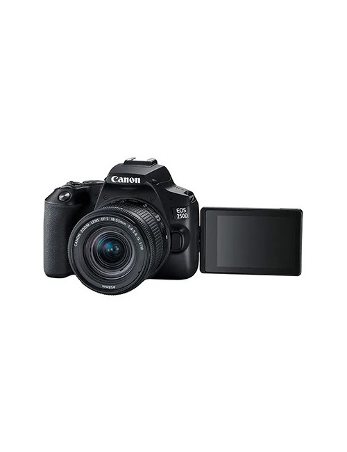 CANON EOS 250D BK + OBJECTIF EF-S 18-55MM F/4-5.6 IS STM – Image 2