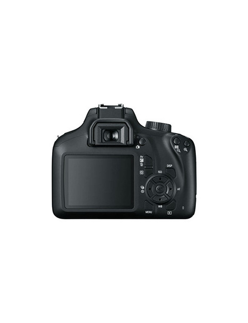 CANON EOS 4000D NOIR + OBJECTIF EF-S 18-55 MM F/3.5-5.6 III – Image 2