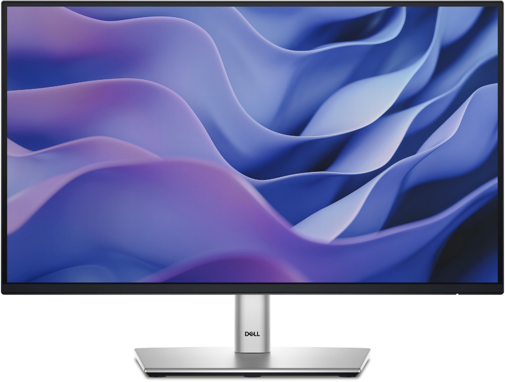 Écran 22" Full HD Dell Pro Plus P2225H (P2225H-4Y)
