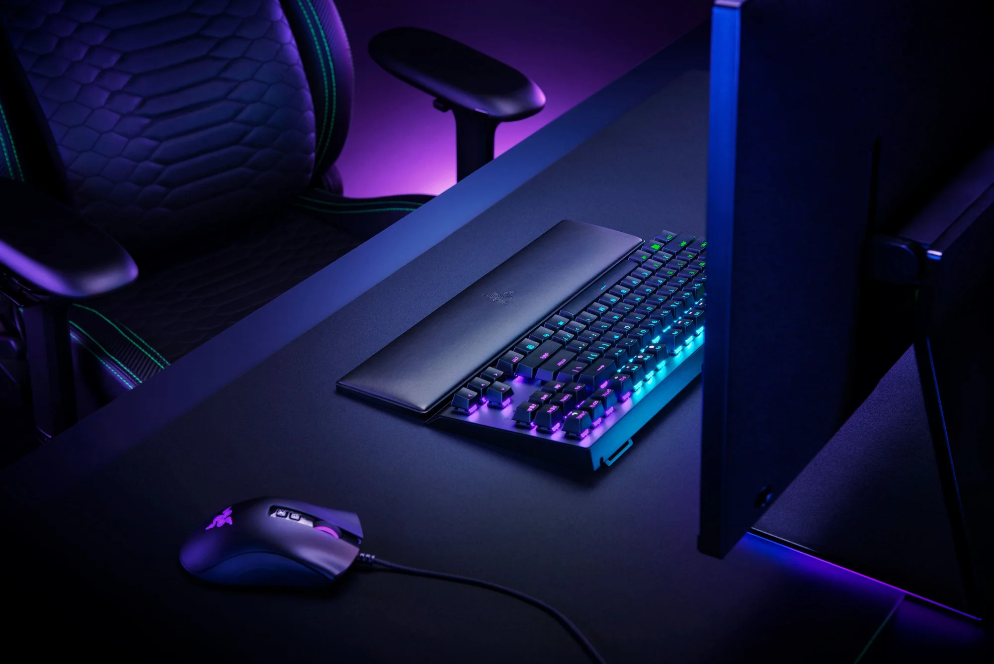 Razer Repose poignet pour Clavier Wrist Rest TKL (RC21-01710100-R3M1) – Image 8